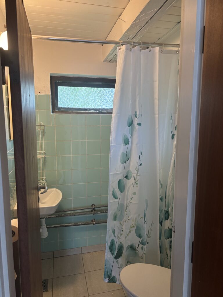 Badeværelse med grønne fliser, brusekabine og toilet